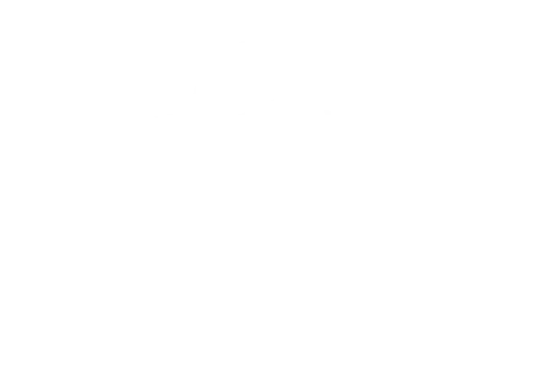 Drone Site Surveys logo